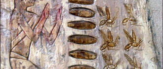 пчелы египта