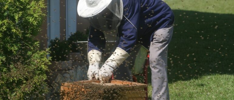 Оборудование для содержания и разведения пчел