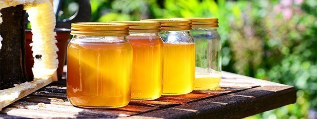 Акациевый мёд — как выбрать, как кристаллизовать, калорийность и основные полезные свойства