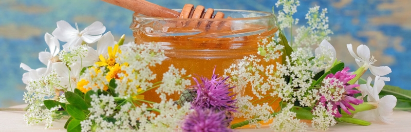 Цветочный мед: полезные свойства, противопоказания, рецепты применения