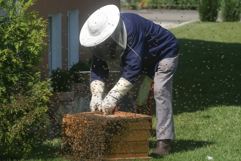 Все для пчеловодства: Пчеловодческий инвентарь, пасечное оборудование и аксессуары